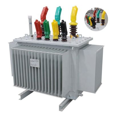 6kV 11kV Máy biến áp phân phối năng lượng bằng dầu điện ngâm đầy cho ba giai đoạn