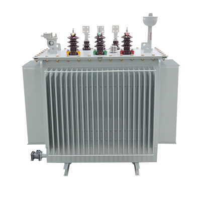 TSTY S13 800kva/6.3kv/0.4kv Máy biến áp ngập dầu với thiết kế hoàn toàn kín