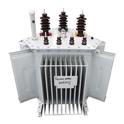 300 kva 3 pha 11kv/0.4kv Dầu chứa 400kv biến áp điện với tần số 50/60Hz